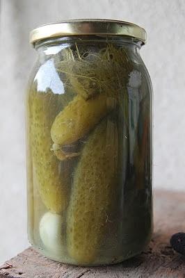 Ogórki kiszone