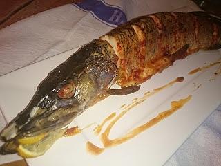 Szczupak pieczony w pomidorowo czosnkowym sosie