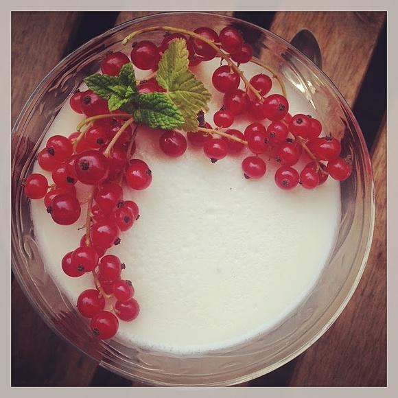 Kokosowa wegańska panna cotta