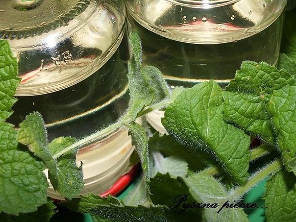 Syrop miętowy