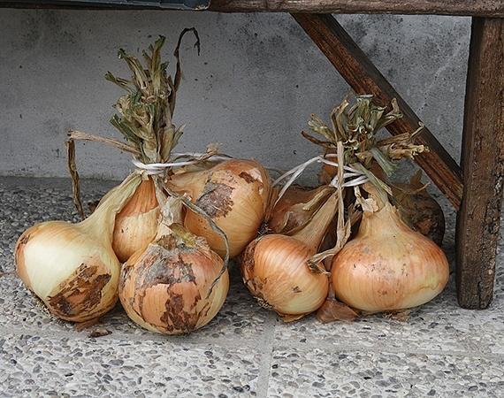 Krojenie cebuli bez łez – porady jak nie płakać podczas krojenia