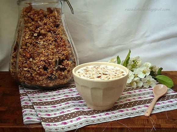Dwudziestolatki kontra ja i domowa granola z miechunką