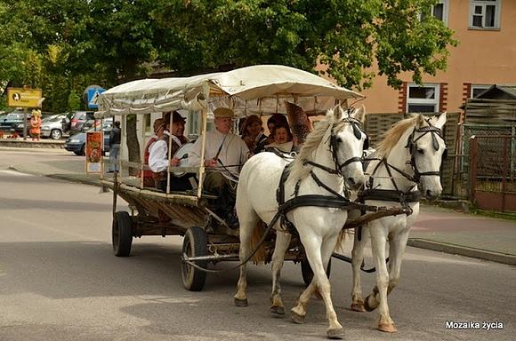 Litwa w polsce i druskienniki - przewodnik po liteckich atrakcjach