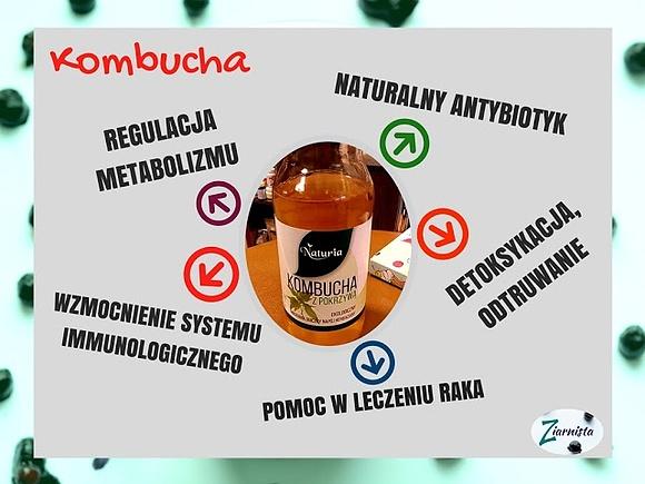 Kombucha - jak spożywać i dlaczego warto ją pić?