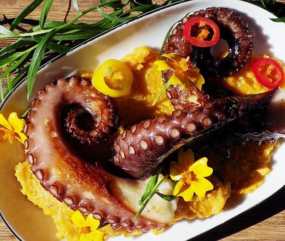 Estragonowa ośmiornica na puree z batata i quinoą