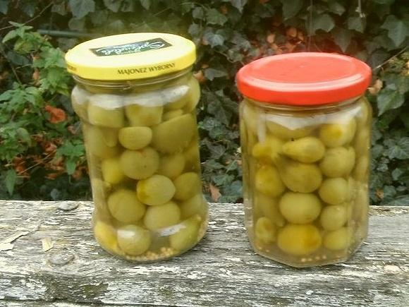 Zielone pomidory marynowane i chutney z nich