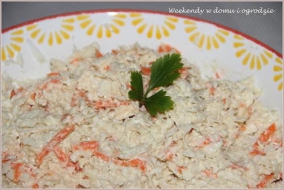 Coleslaw z własnym sosem, idealny na obiad i do pracy