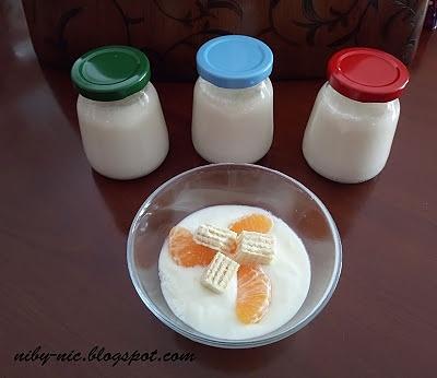 Jogurt naturalny domowy do śniadania i na lunchbox