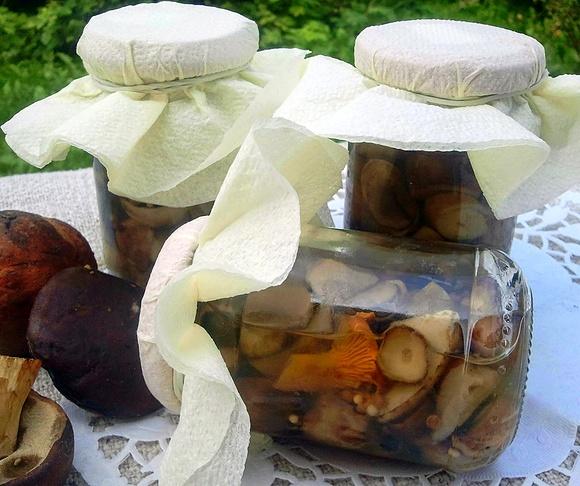Marynowane grzybki z kolendrą