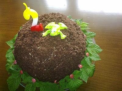 Tort żabi kopiec
