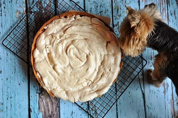 Tarta z rabarbarem i bezą