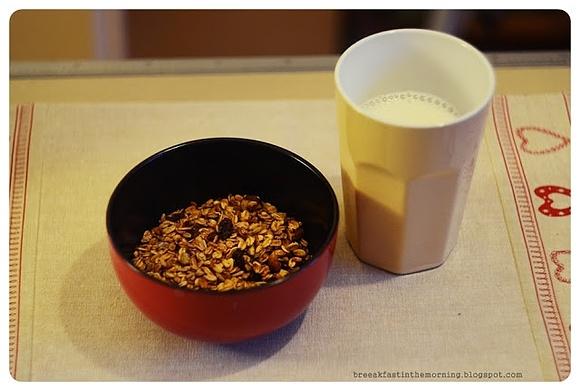 Domowa granola z ciepłym mlekiem