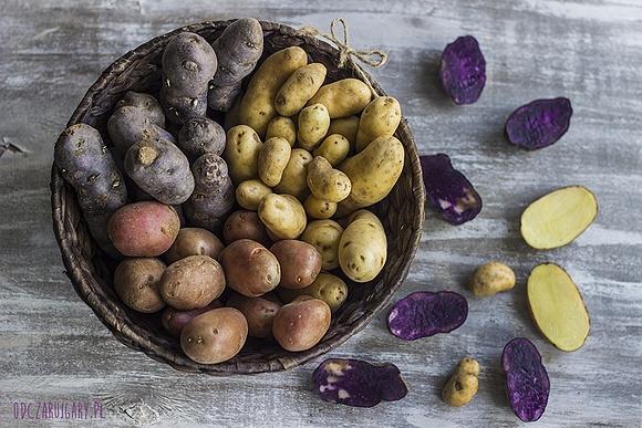 Gratin dauphinois zapiekanka ziemniaczana z czosnkiem i masłem