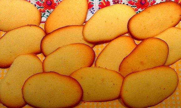 Kocie języczki