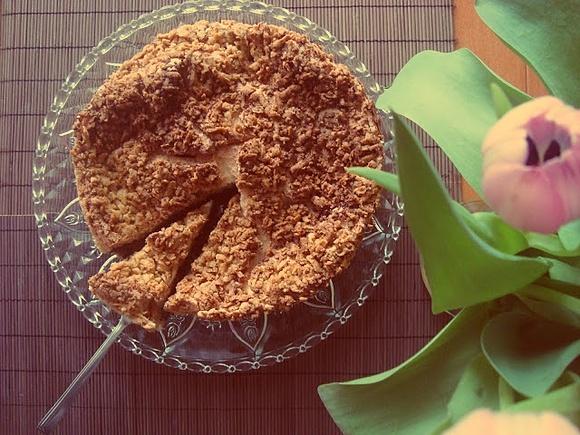 Pleśniak z czarną porzeczką i kakaowym ciastem