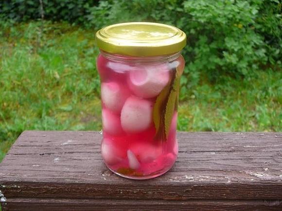 Kiszone rzodkiewki