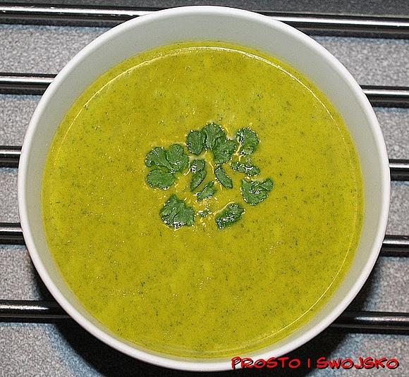 Zupa krem z rukoli dla Thermomix tm5
