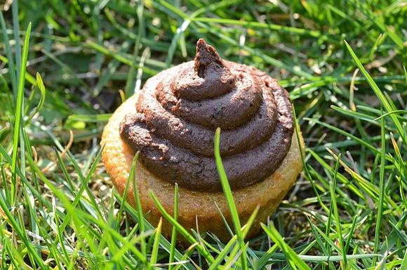 Pomarańczowe muffiny z kremem czekoladowym