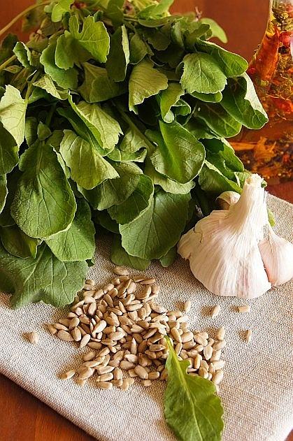 Rzodkiewkowe pesto z liści rzodkiewek