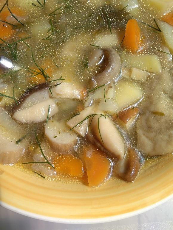 Zupa grzybowa ze świeżych grzybów