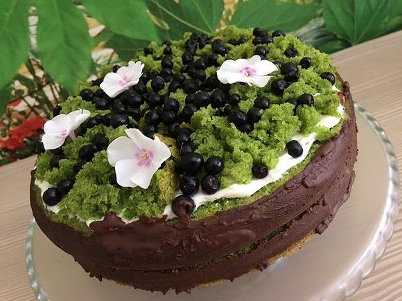 Leśny mech z jagodami i mascarpone