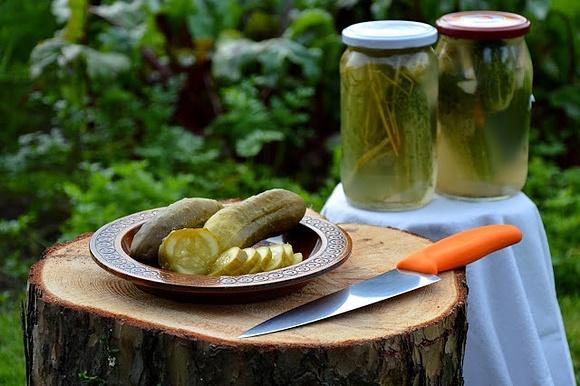 Ogórki kiszone w słoikach