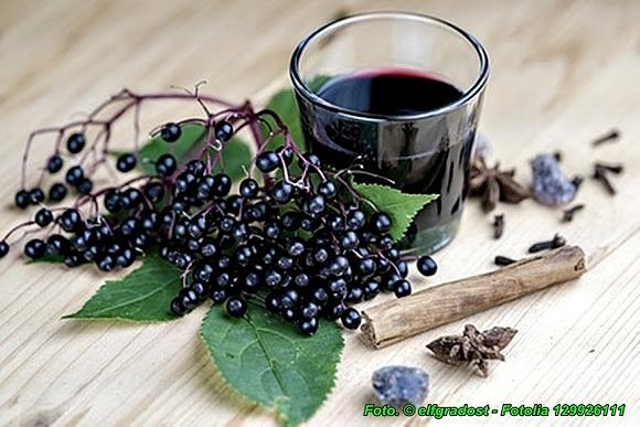 Syrop z bzu czarnego z przyprawami - przepis na zdrowie