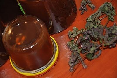 Galaretka z Lebiodki pospolitej oregano