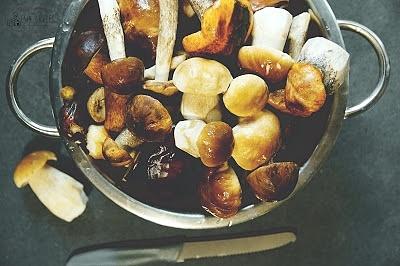 Zupa grzybowa