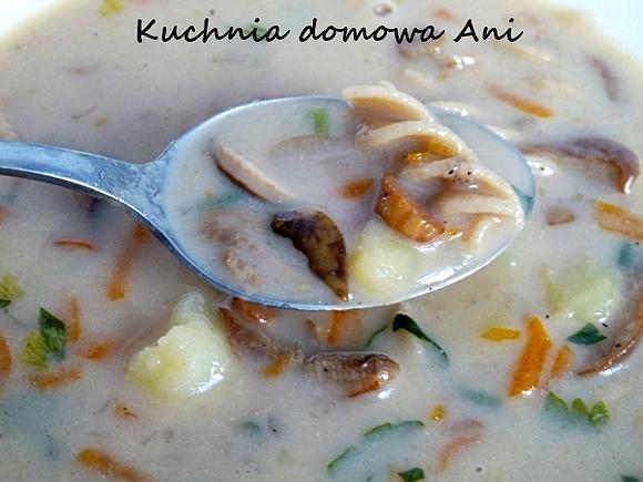 Zupa grzybowa ze świeżych leśnych grzybów