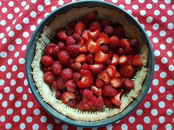 Galaretkowiec ciasto z galaretką Thermomix