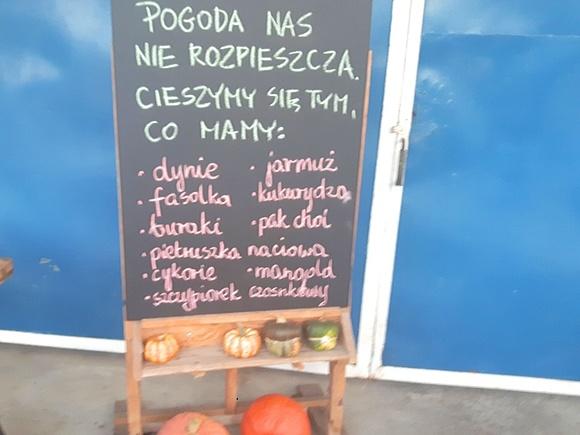 Jesień jak jeść sezonowo w pełni smaku i zdrowia
