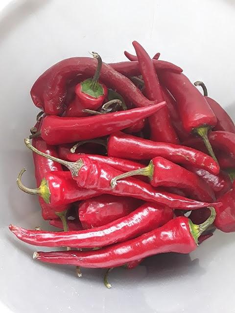 Papryczka chilli marynowana
