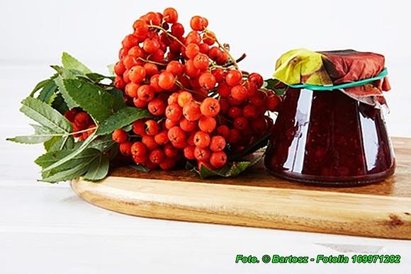 Dżem z owoców jarzębiny