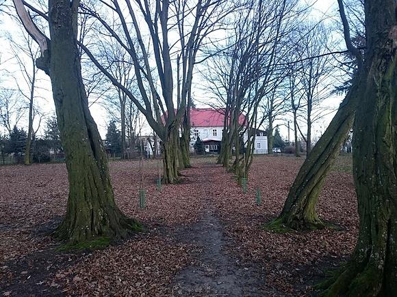 Kołacz noworoczny