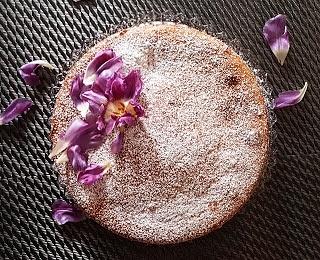 Babka kastora