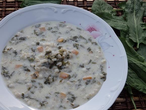 Zupa szczawiowa z pęczakiem