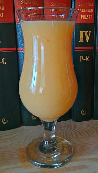 Letni sok melonowo-wieloowocowy