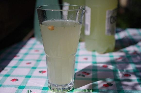Nowa lemoniada miodowa