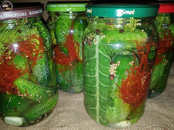 Ogórki kiszone z chilli i chrzanem