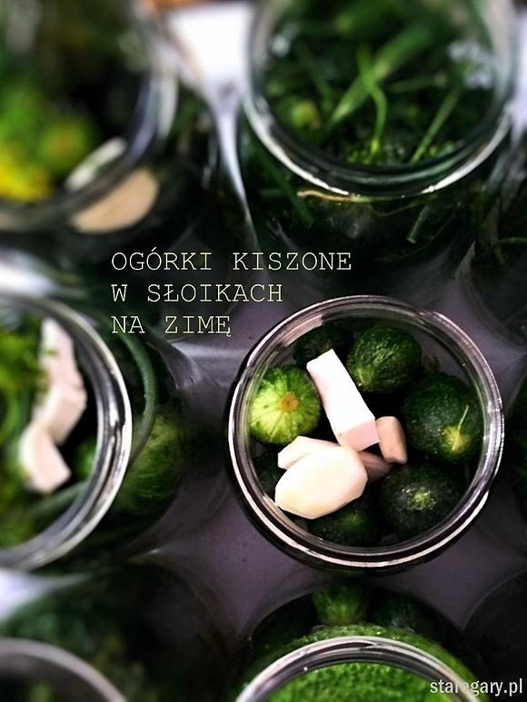 Ogórki kiszone w słoikach na zimę