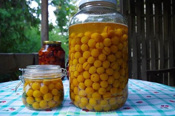 Mirabelki – skarby na zimę