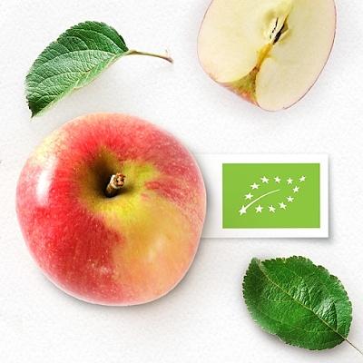 Zielony listek żywności ekologicznej na opakowaniu – co oznacza?