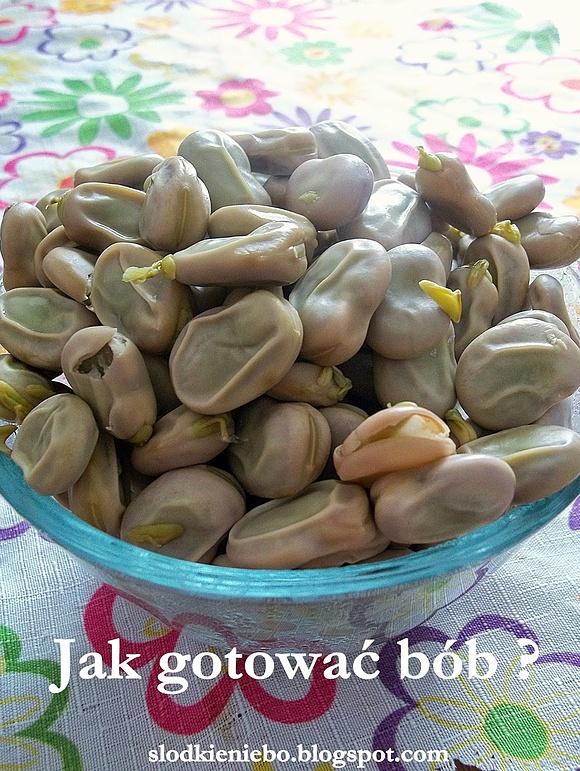 Jak gotować bób