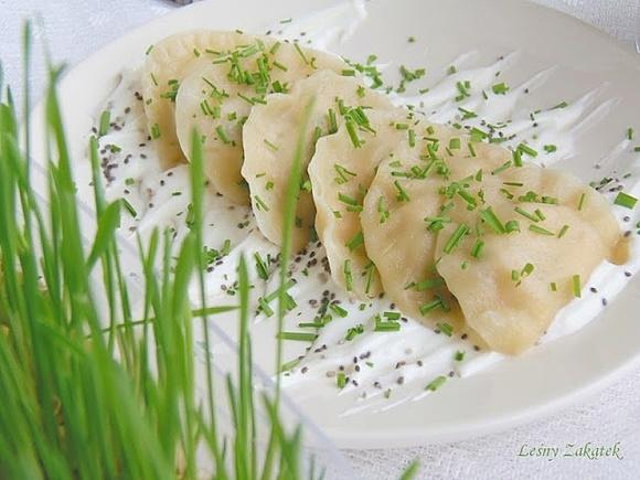 Pierogi z białym serem, szałwią hiszpańską i zielonym owsem