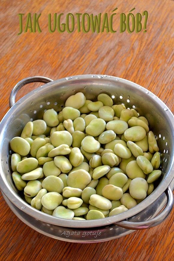 Jak ugotować bób
