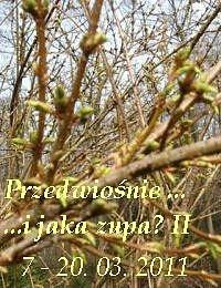 Włoska zupa pomidorowa z makaronem Nigella Lawson