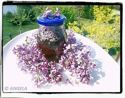 Miód z kwiatami bzu - lilac honey