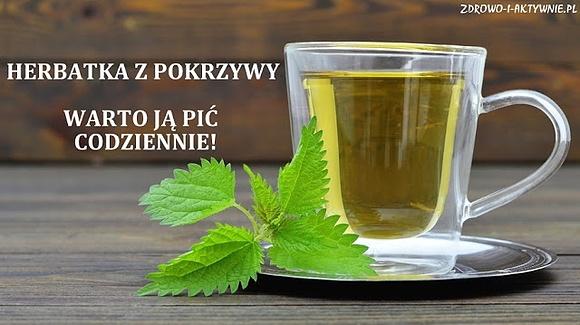 Herbatka z pokrzywy - warto pić ją codziennie