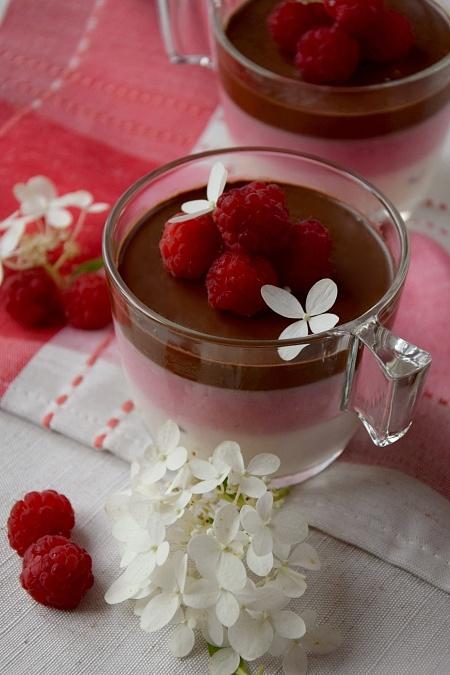 Malinowa panna cotta z czekoladą